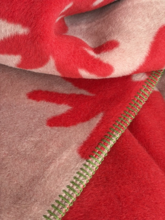 IMG_3036.JPEG